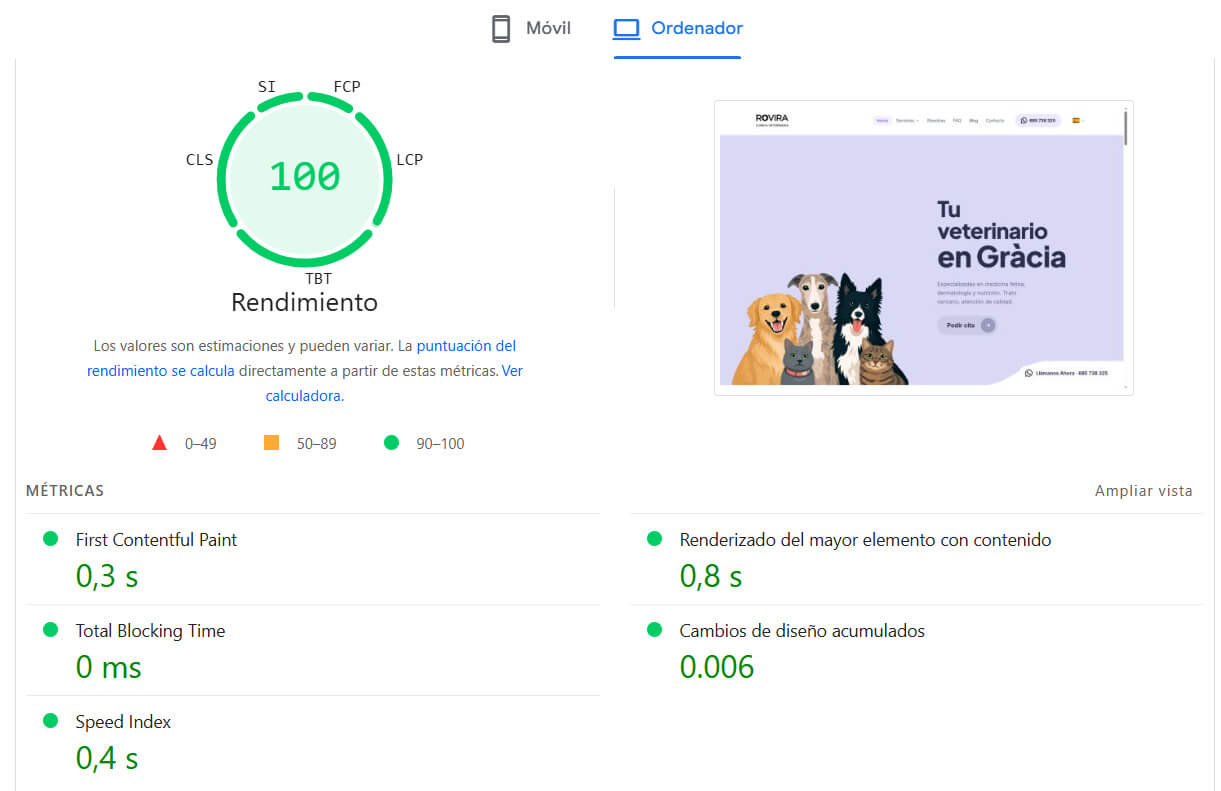 PageSpeed Insights Clínica Veterinaria Rovira — 100/100