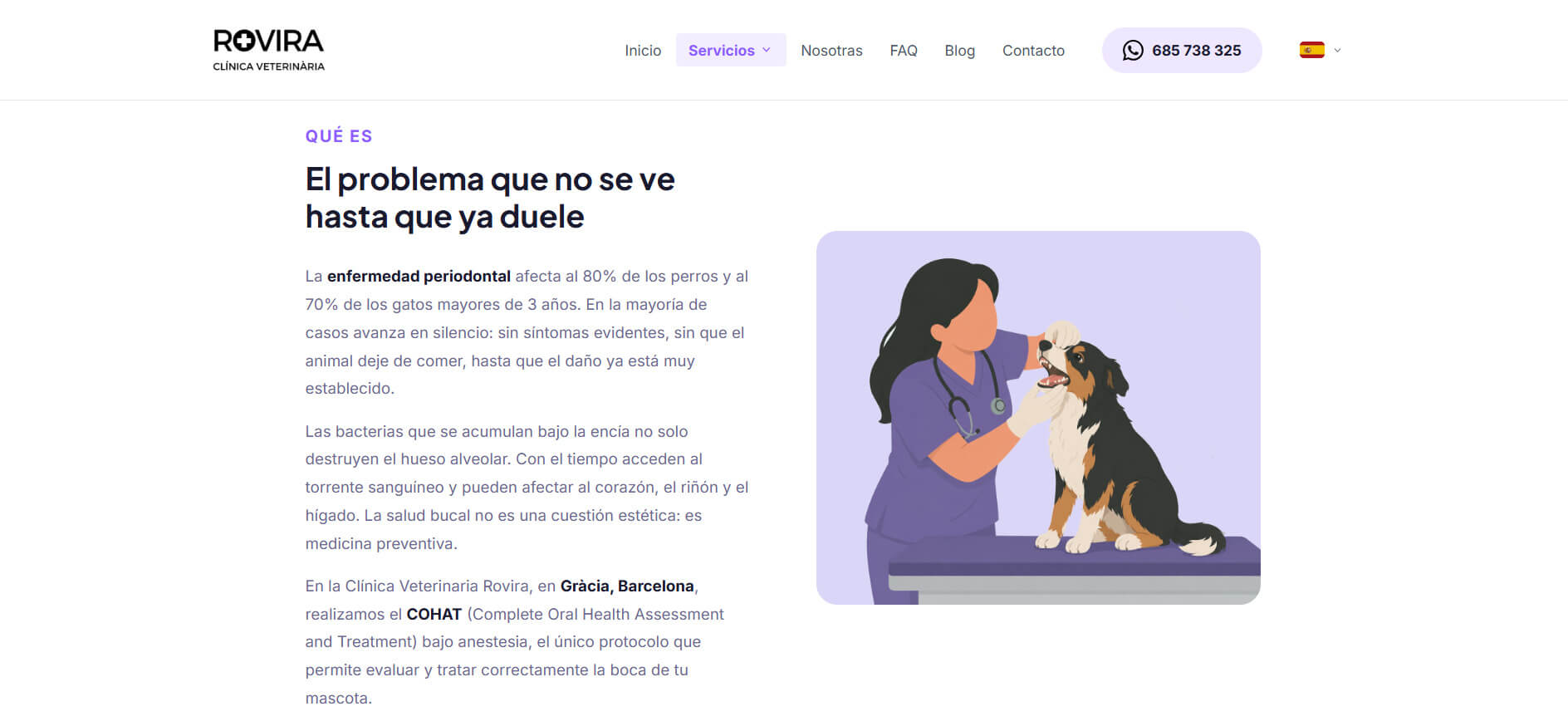 Nueva web — interior optimizado